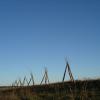 grene 05